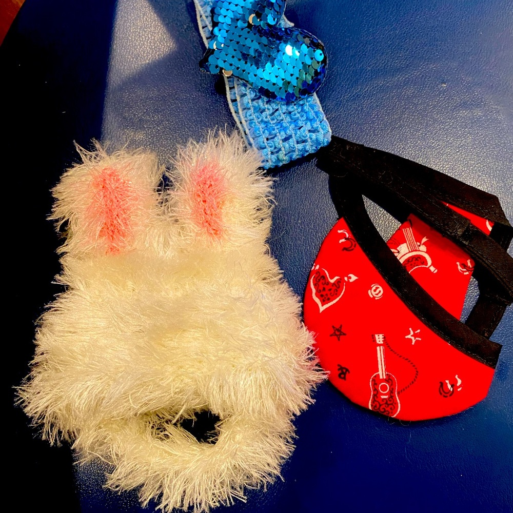 Small Dog Fun Items